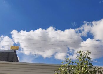 کاهش نرخ سرقت با کمک یک مخترع جوان