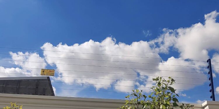 کاهش نرخ سرقت با کمک یک مخترع جوان