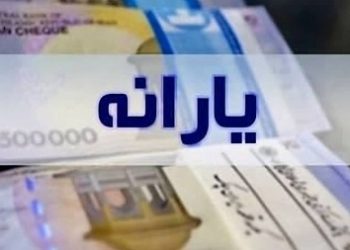 دولت زیر فشار تورم؛ یارانه ۷۰۰ هزار تومانی نقدی می‌شود یا کالابرگ؟