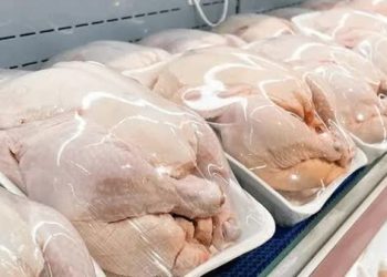 مرغ تاریخ‌مصرف‌گذشته در بازار؟ اظهارات جنجالی رئیس کمیسیون کشاورزی مجل