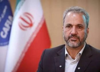 آخرین وضعیت تشکیل سازمان ملی مهاجرت اعلام شد