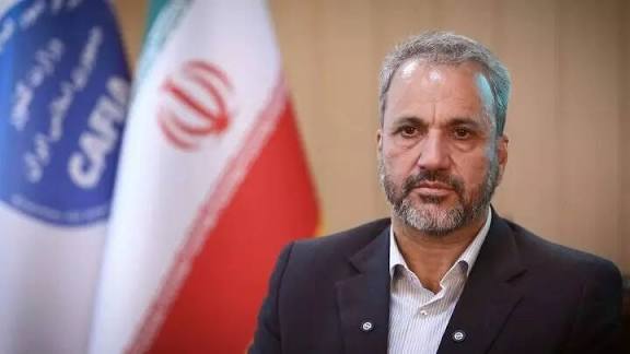 آخرین وضعیت تشکیل سازمان ملی مهاجرت اعلام شد